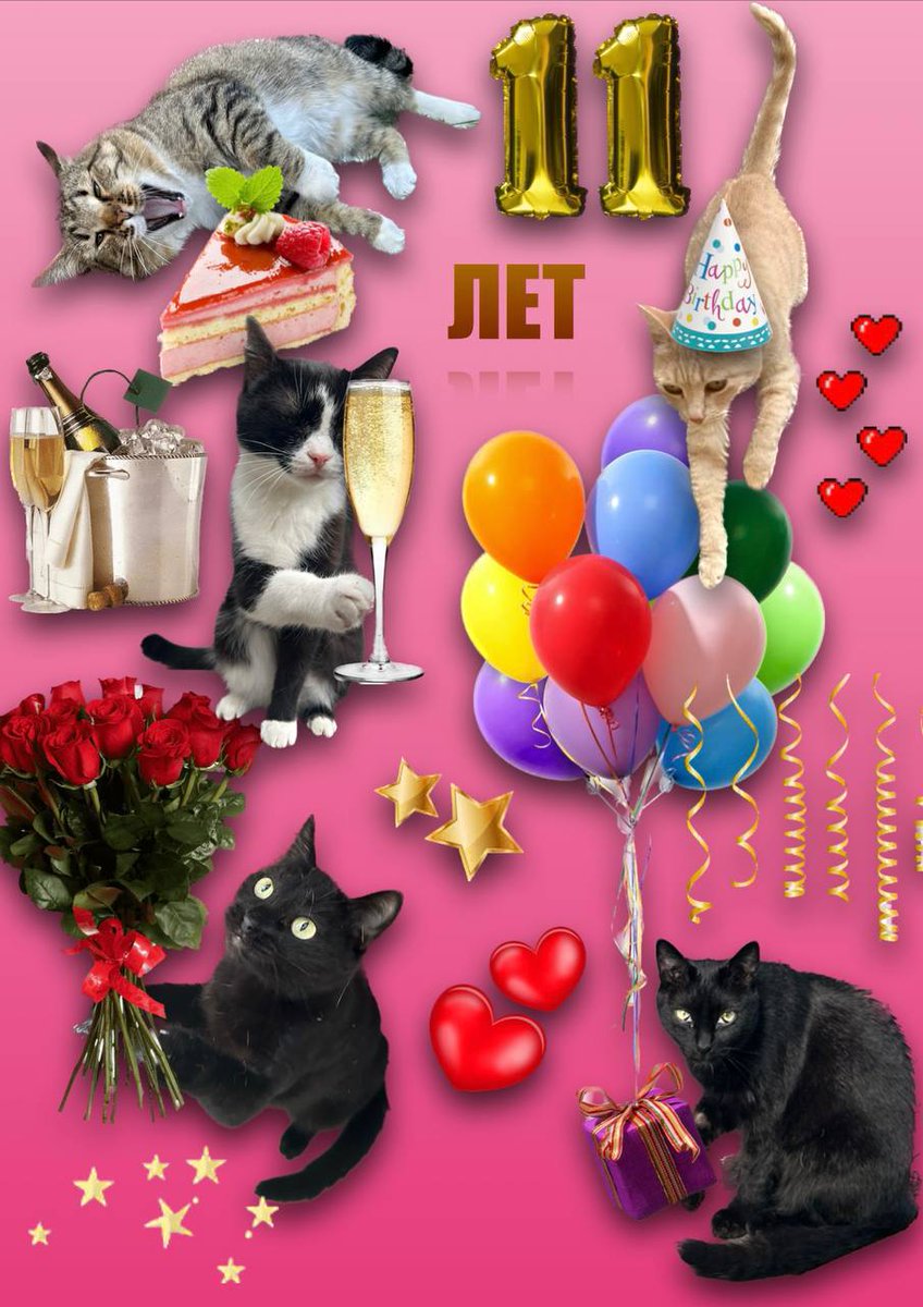 Друзья, сегодня у Кошачьего Царства день рождения! 
11 лет назад я подобранную кошку принесла не к себе в маленькую квартиру с уже 13 кошками, а отвезла на передержку. Именно тогда я поняла, что можно спасать более масштабно и через год у меня уже было 63 кошки. Так образовался⤵️