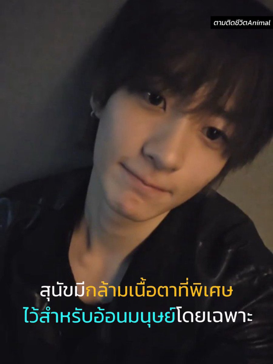 happibbu's tweet photo. https://t.co/5TAIpIeGvT