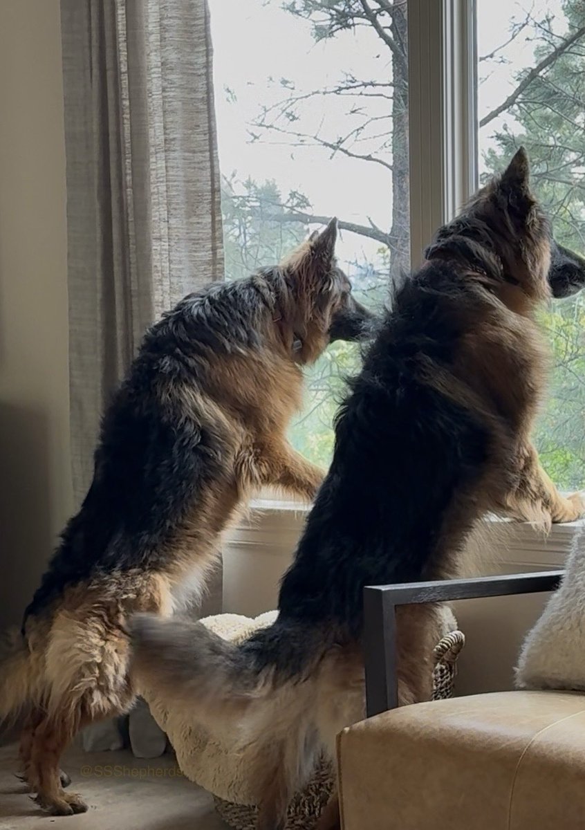 Happy #WontLookWednesday because we’re working here… have a good one furiends!