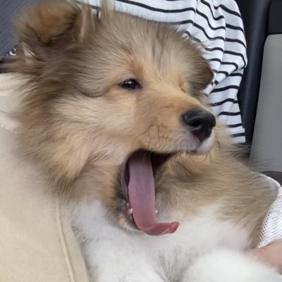 #新しいプロフィール画像