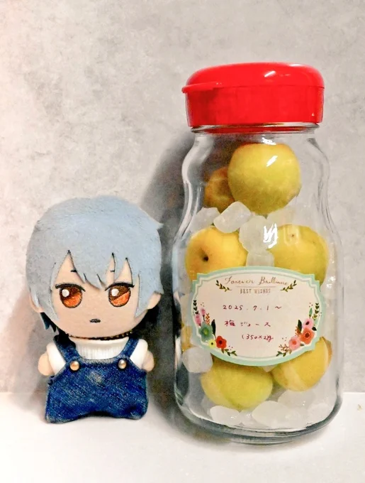 梅ジュースも作ったんだけど こちらは美味しくて、もうほぼない。 来年は大量に作ると誓う