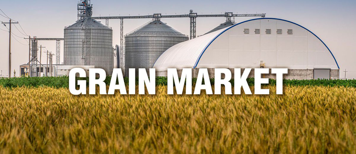 Kazakhstan’s Food Corporation sold 1.2 million tons of grain in the 2024-2025 MY Read full👉🏼apk-inform.com/en/news/1549726