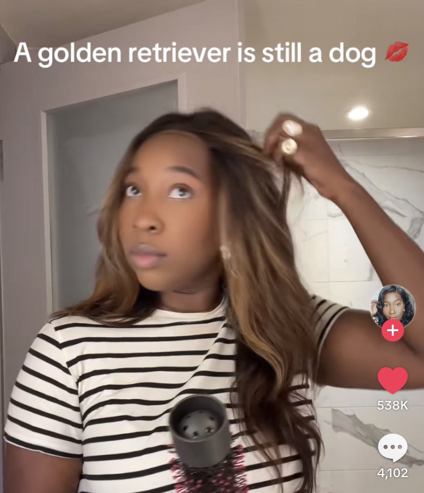 to the people who call jeremiah a golden retriever !!