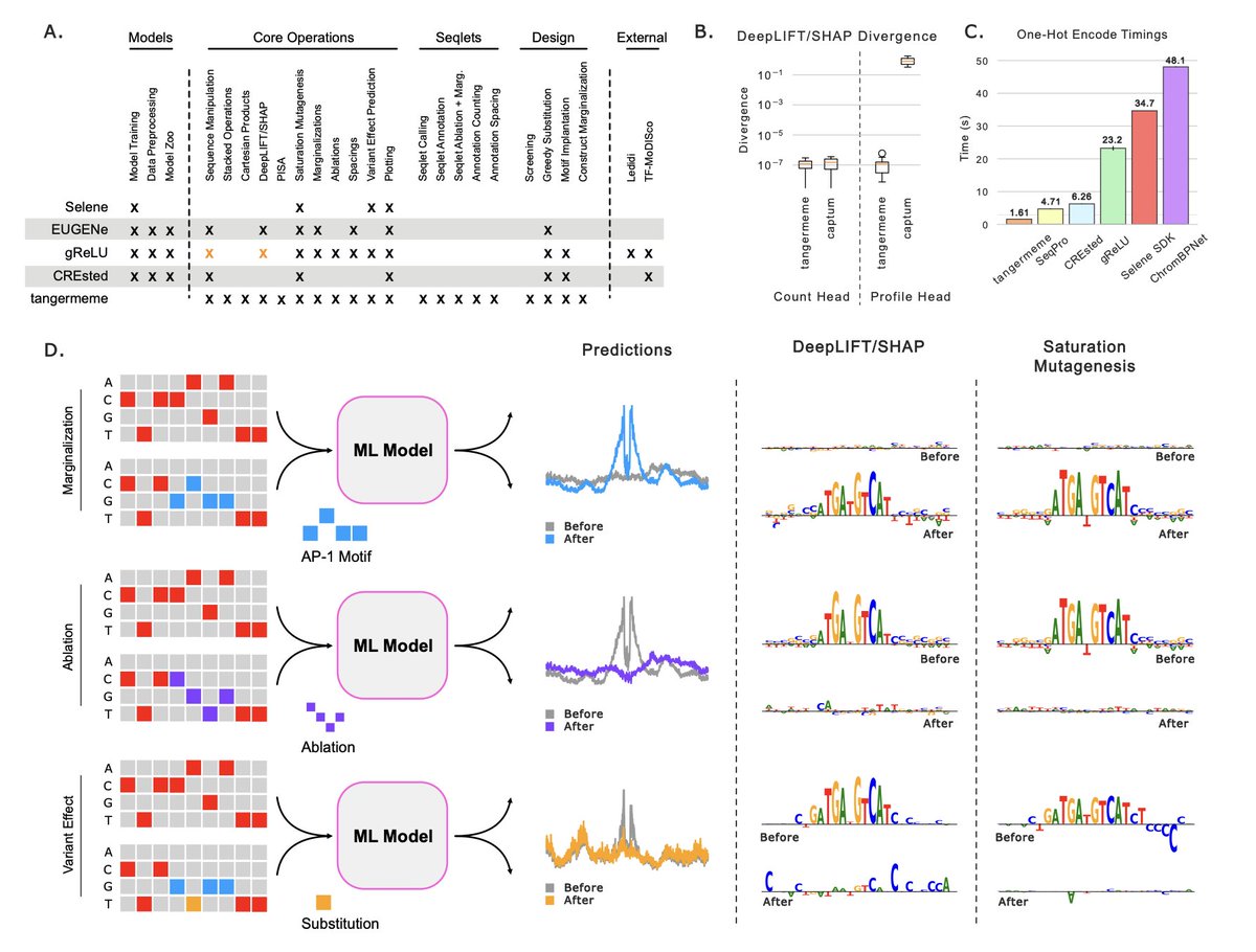 Tangermeme: A toolkit for understanding cis-regulatory logic using deep learning models

1. Tangermeme is a highly optimized toolkit designed to distill learned cis-regulatory patterns from deep learning models into human-interpretable insights. It focuses on the post-training
