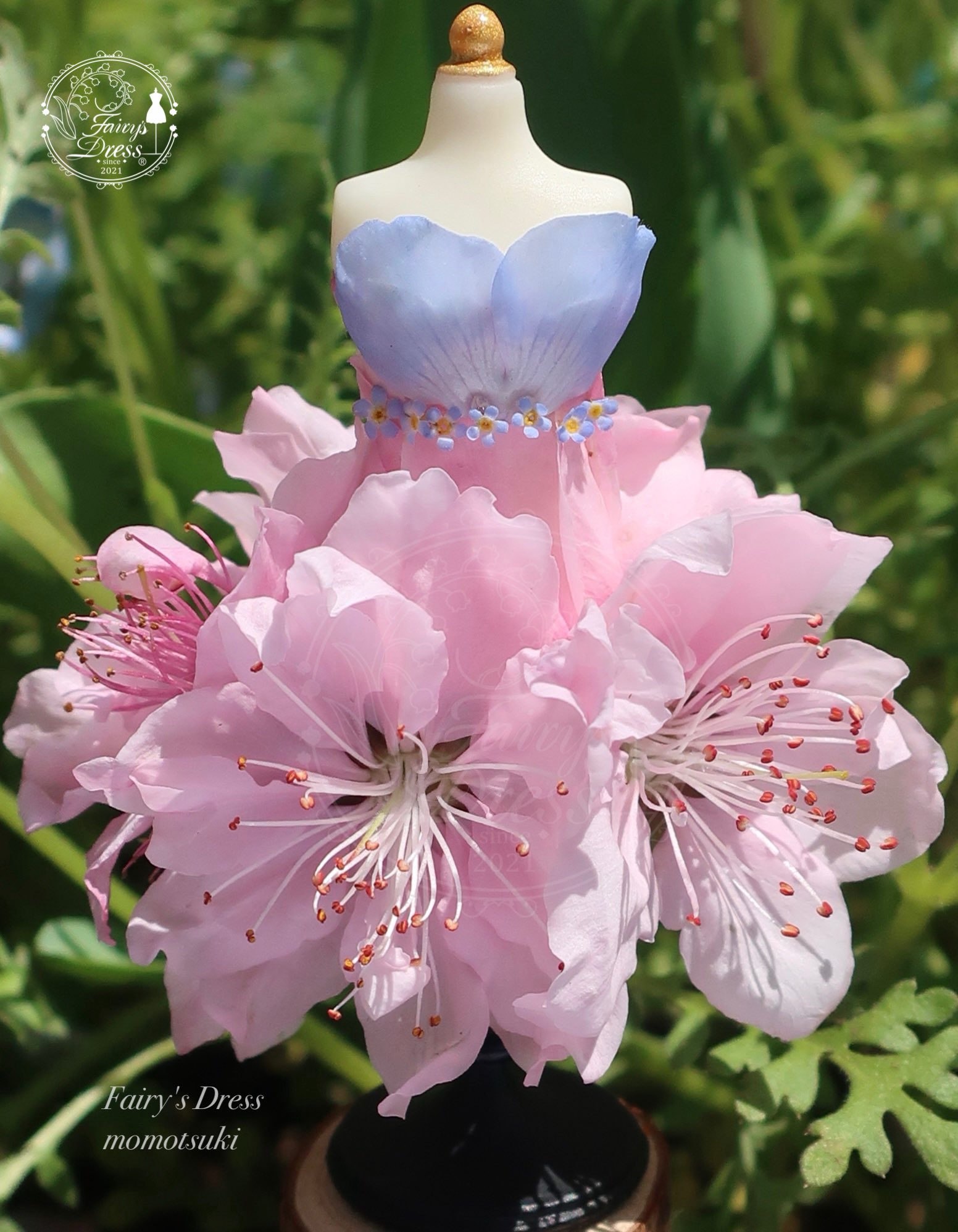 Fairy's Dress (@Fairys_Dress) / X