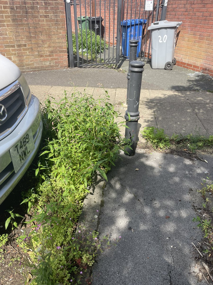 Dub to Jungle Show tweet media