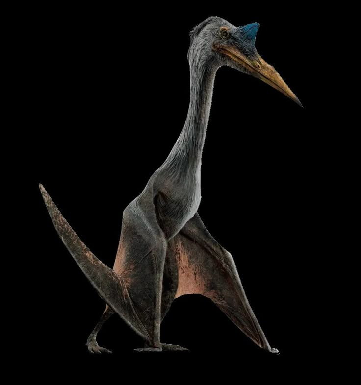 Mahajangasuchus's tweet photo. Rebirth Quetzalcoatlus is better than Dominion Quetz. https://t.co/9hT1RpR6P5