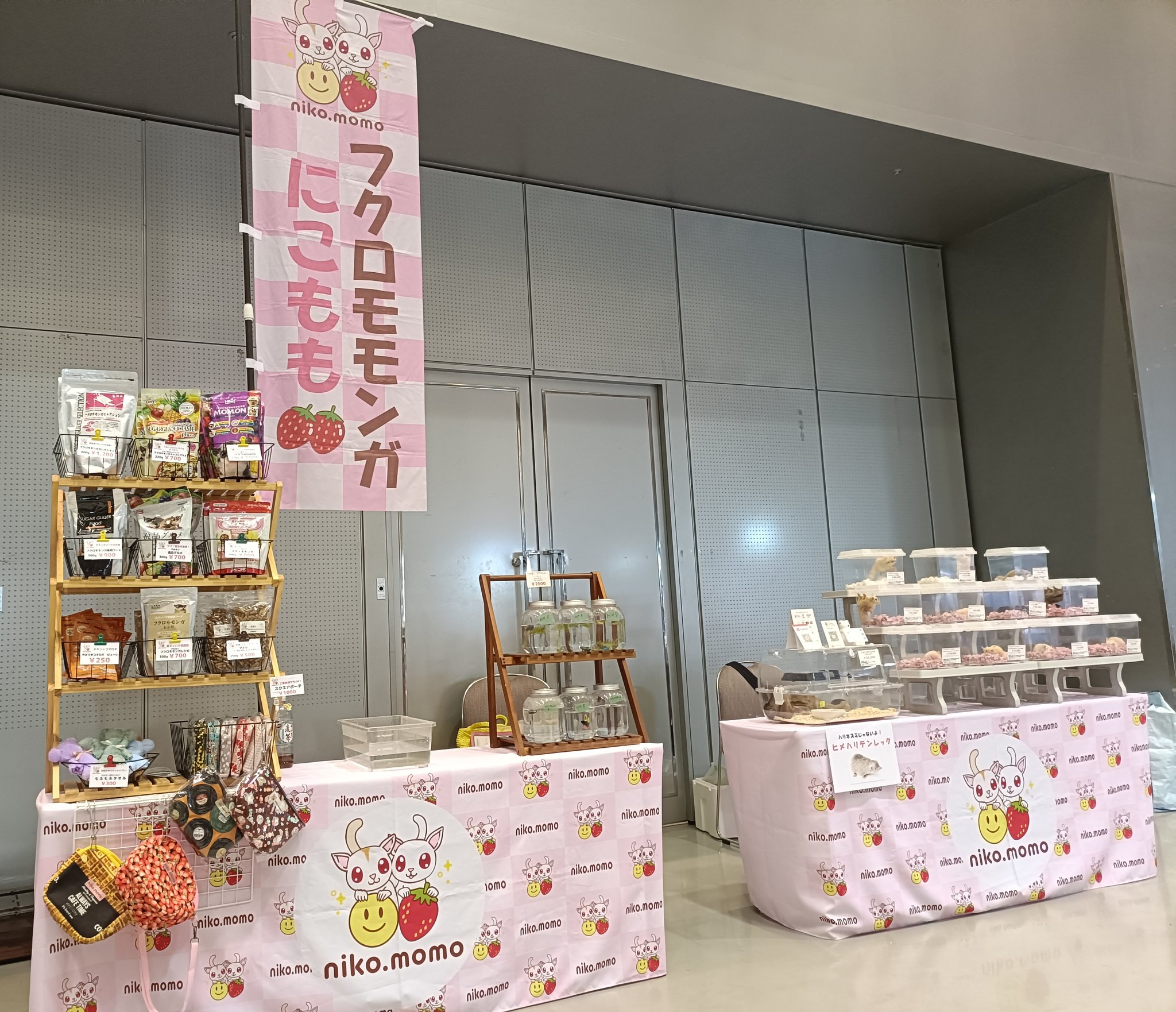 ニコモモ☺️活動低飛行⤵✈ さま専用。 7/1まで 7999円 niko.papa (@nikomomopapa) / X
