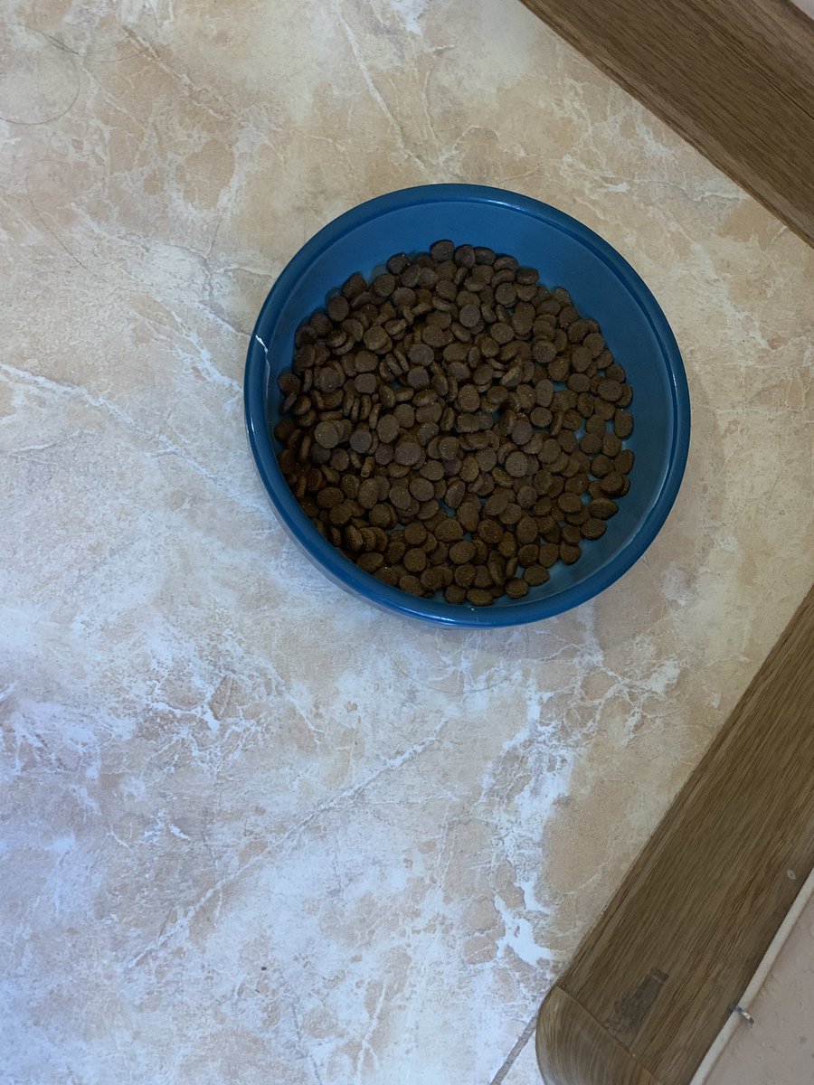 Mika Venerova tweet media