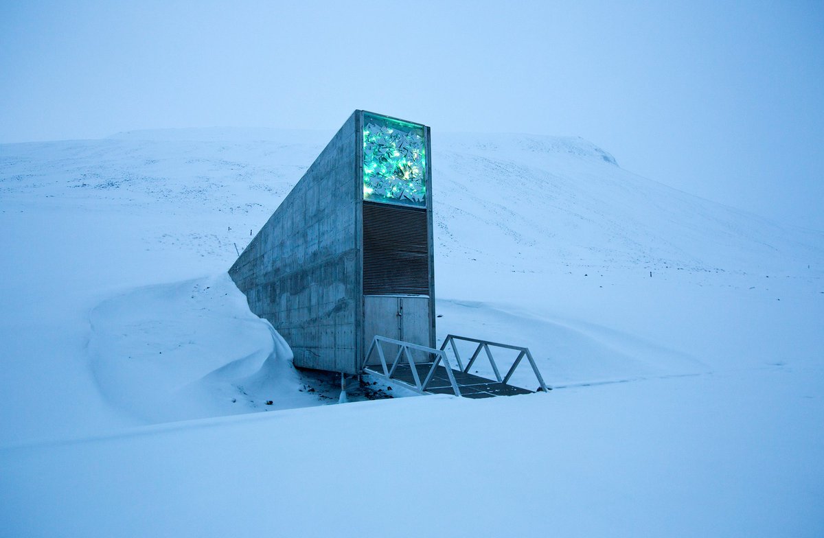 Ever heard of the 'Doomsday Vault'? In the Arctic, there's a seed bank designed to withstand nuclear war, housing over 1 million seed samples to safeguard Earth's food supply! 🌱🔒 #ClimateResilience #MindBlown