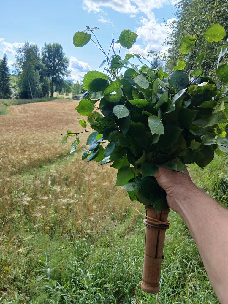 RistaniemiOlli's tweet photo. Isäni sanoi aikoinaan: Vasta tehty vasta se vasta vasta on. Ristajokilaakson pienissä maisemahoitohommissa oli koivun tuoksu niin mahtavaa, että pakko oli tehdä se vasta. Ja arvaatte varmaan, että kohta tämä poika saunoo. #Ristajoki #Haapamäki #Keuruu https://t.co/0ybUNAI1gW