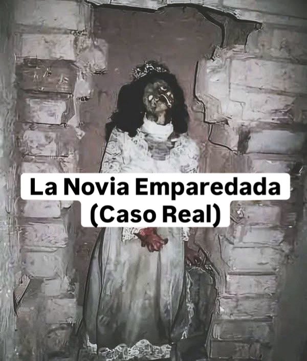 La novia emparedada de Xochimilco: 22 años de silencio y horror

Durante más de dos décadas, los hermanos Hernández vivieron creyendo que su madre los había abandonado. Lo que no sabían era que la verdad se escondía, fría y silenciosa, detrás de los muros de su propia casa.

En