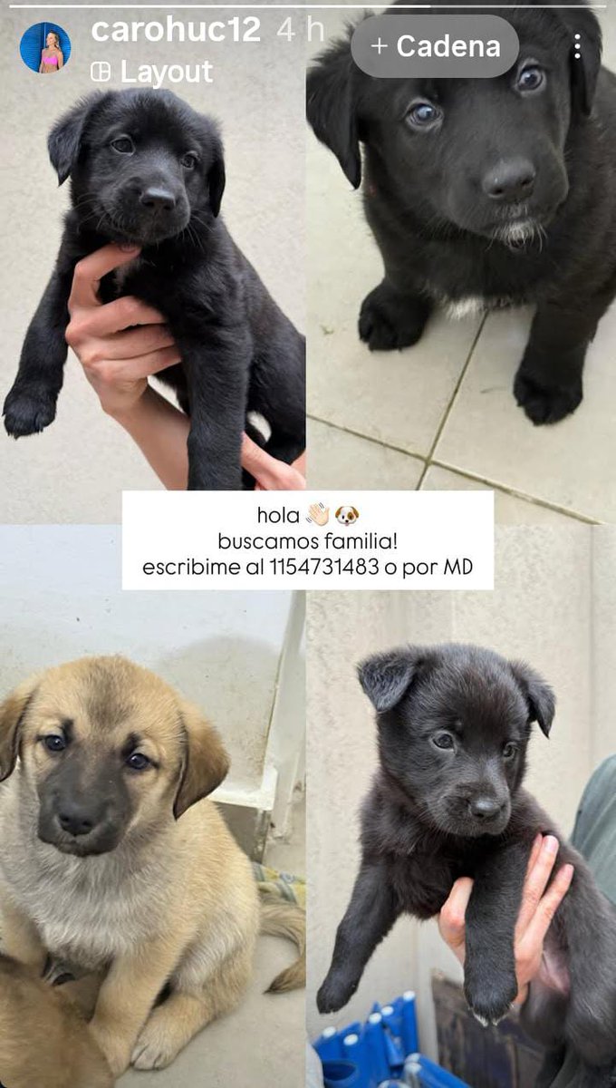 Laly 🇦🇷 (@lalysole) on Twitter photo 