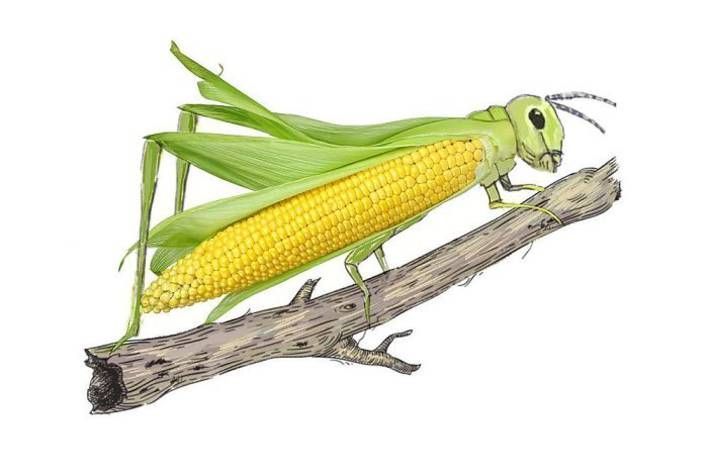 土屋アソビ 🌗 tweet media