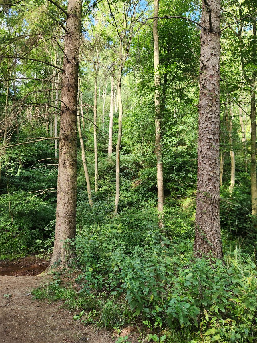 "I think having land and not ruining it is the most beautiful art that anybody could ever want." 

— Andy Warhol