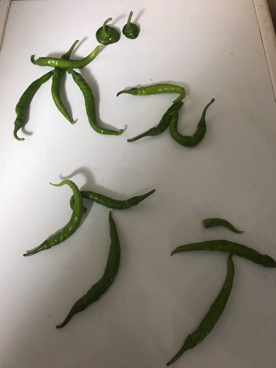 今年も夏の洗礼ありがたく頂いてきました🙇‍♂️包丁で切っただけで今年一番汗かいたので新陳代謝かなり良くなったと思います😄まずはペペロンと醤油漬けで頂きます🙇‍♂️

#みた南蛮