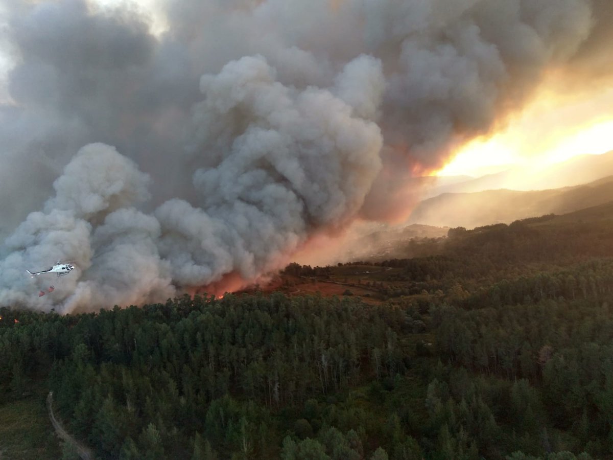 Desde la REMP lamentamos las víctimas registradas en los incendios que afectan a diferentes zonas del país y mostramos nuestro apoyo a los afectados. 
Agradecemos a quienes luchan contra los incendios y demuestran cada día su amor por la naturaleza. Os mandamos un gran abrazo.