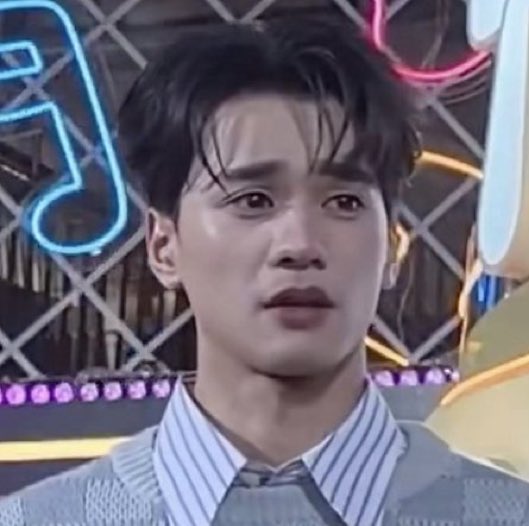 animal                                            real life