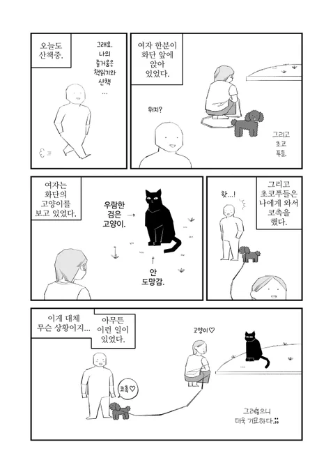 딴짓 푸들. 
