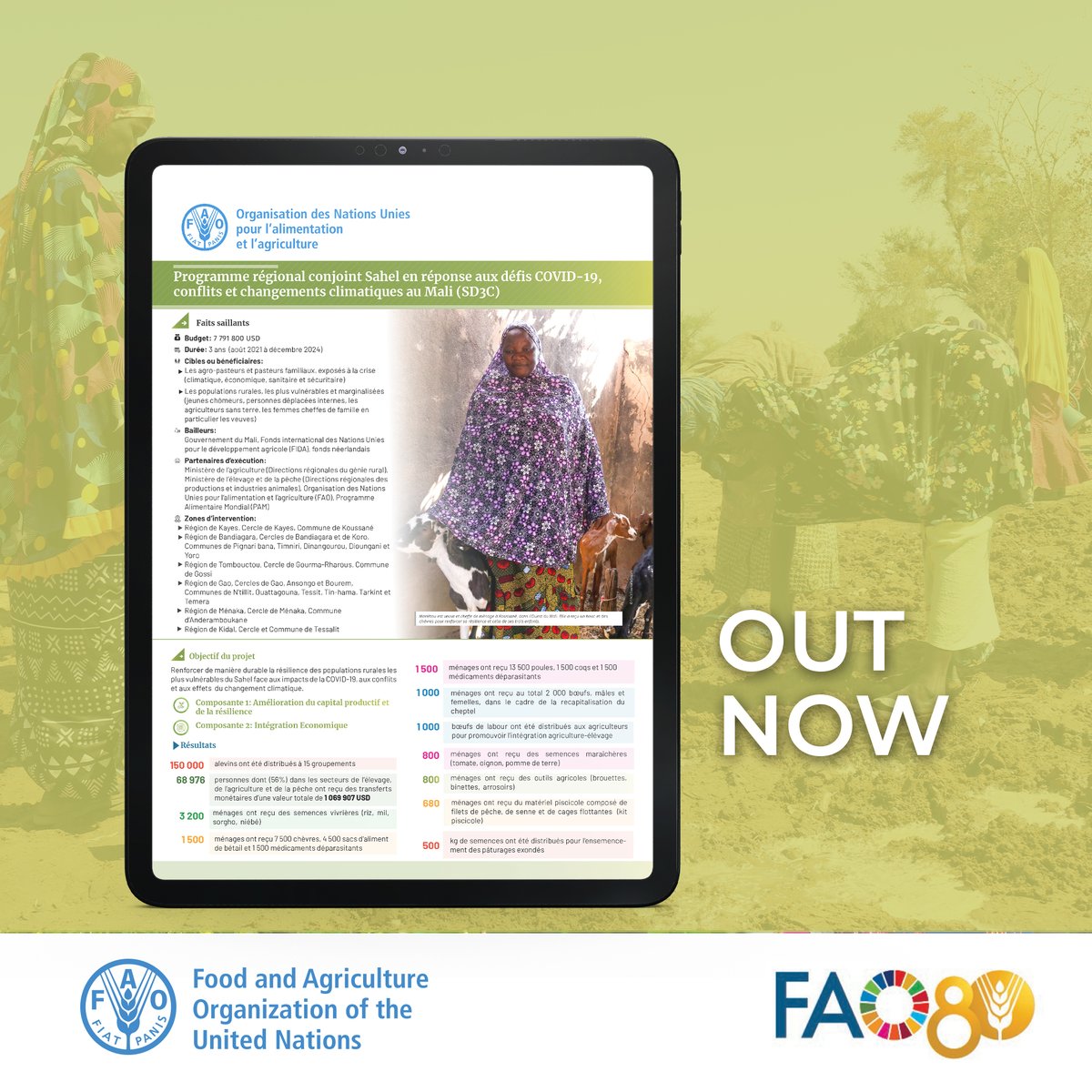 FAOWestAfrica's tweet image. 📢 Through the #SD3C programme in Mali 🇲🇱, @FAO has strengthened the resilience of the most vulnerable 🌍

✅ Over 68,000 people received cash transfers
✅ 150,000 households received fish fry
✅ etc.

📄 Click here to learn more👉 openknowledge.fao.org/handle/20.500.…
#FAO #SD3C #Mali