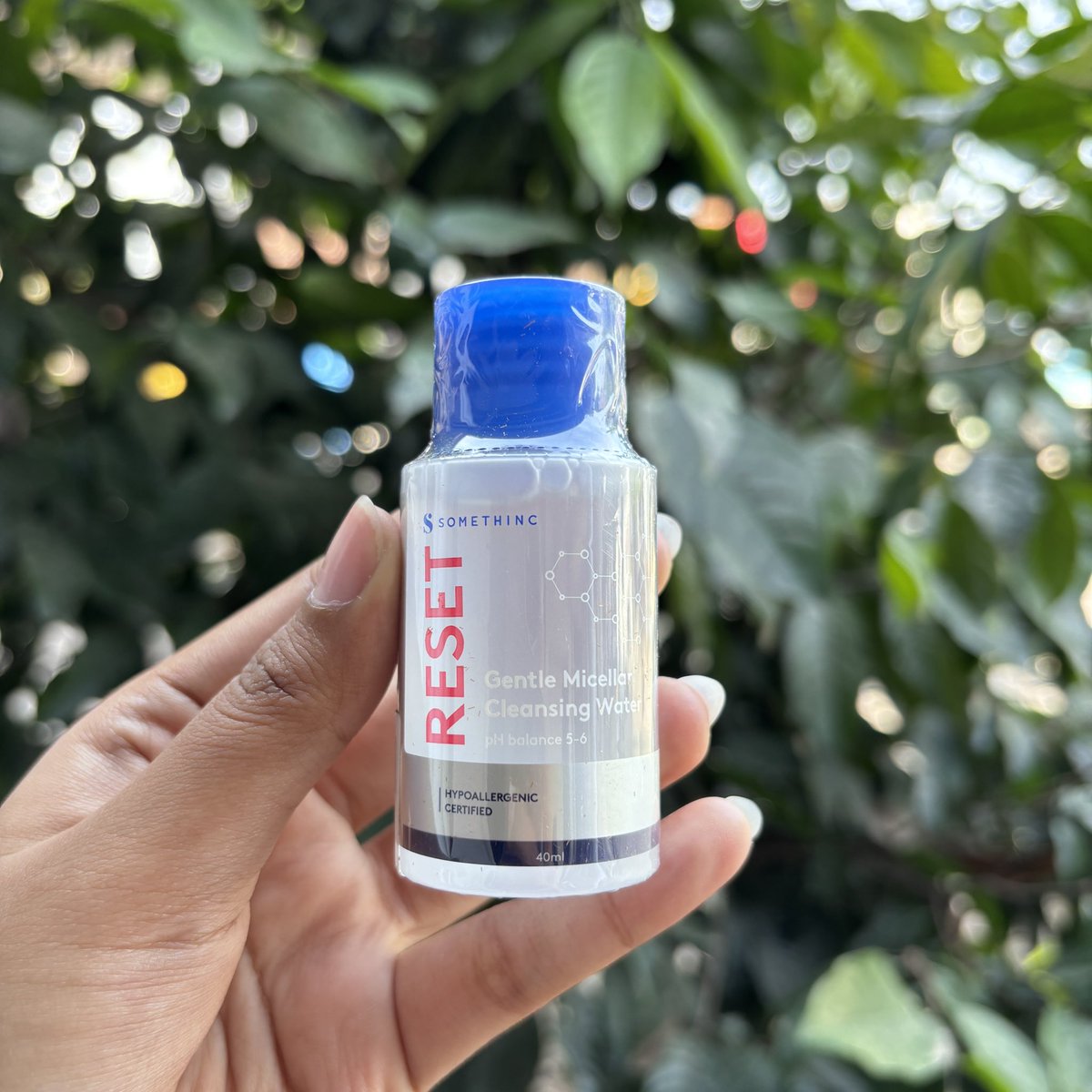 mt after dm! tweet media