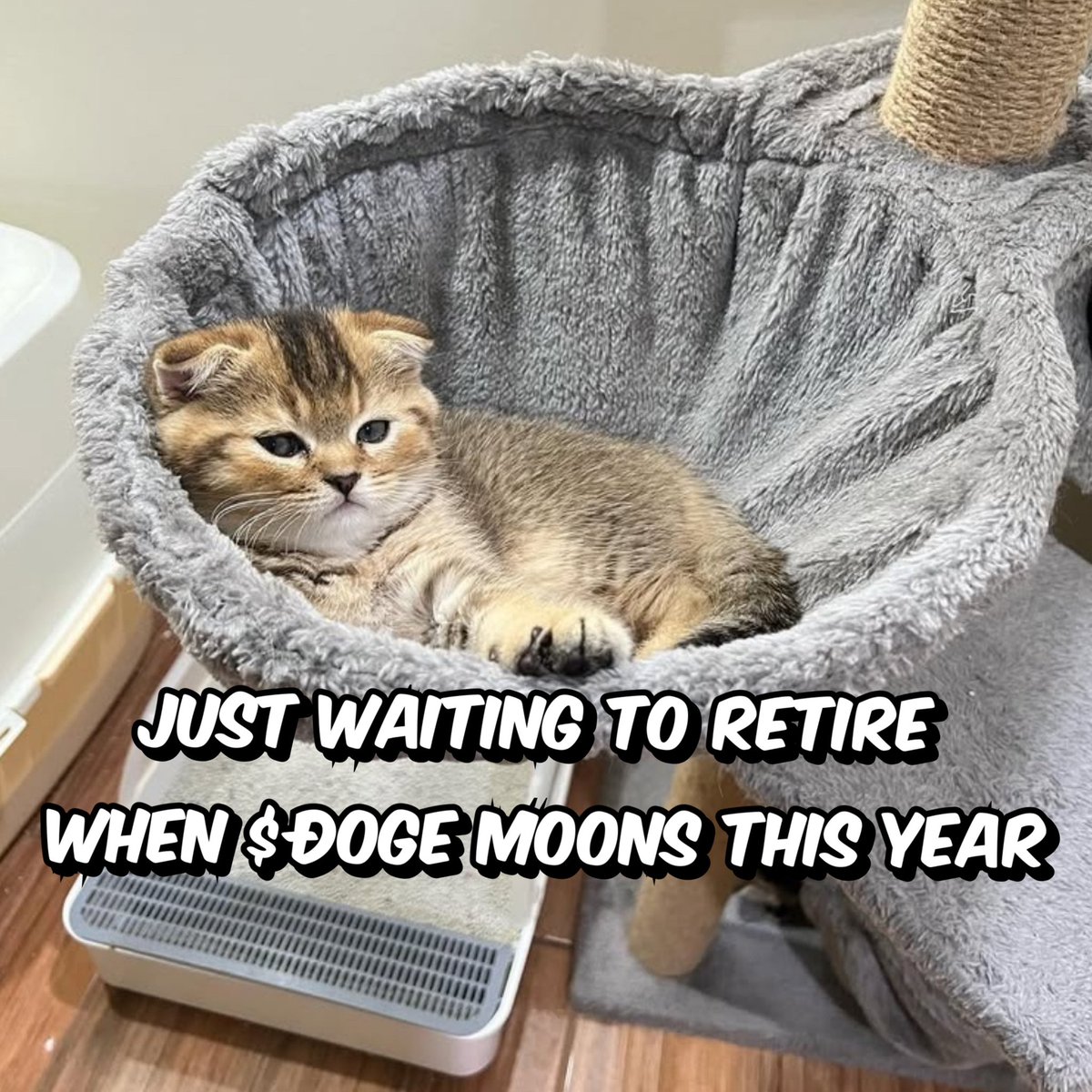 noturshaitype's tweet photo. $DOGE

That’s it.
That’s the post. https://t.co/O0nfH6TRDd