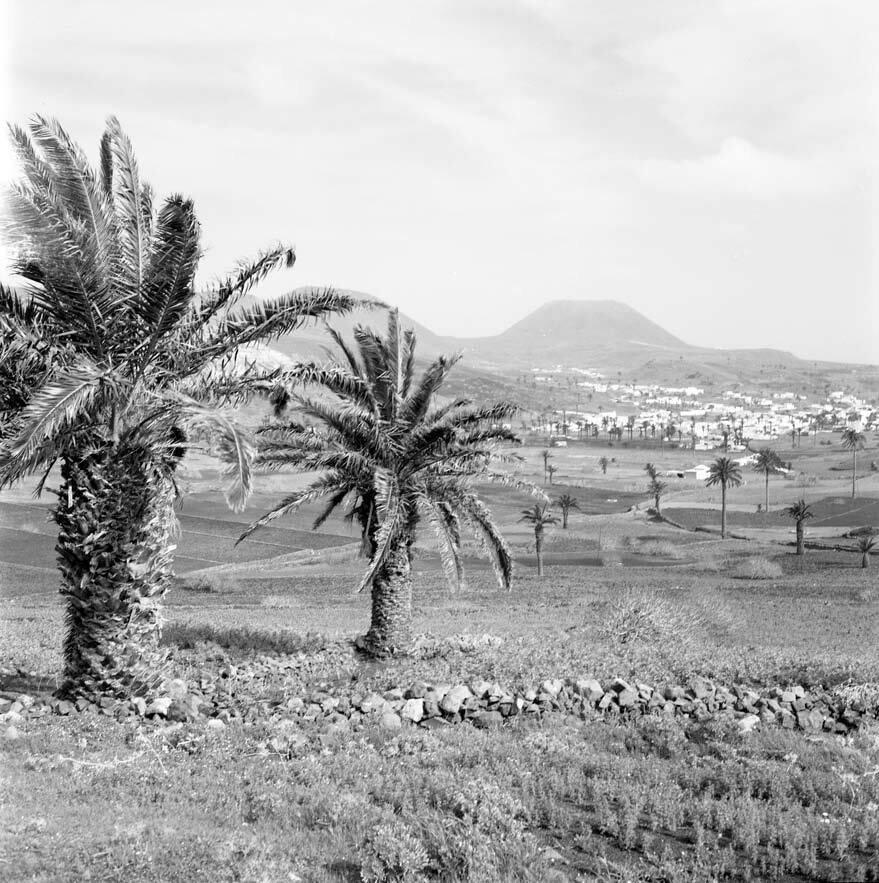 Auagomahorero's tweet photo. Lanzarote (1964).
Nicolás Muller. https://t.co/Y3cdVAxlLb