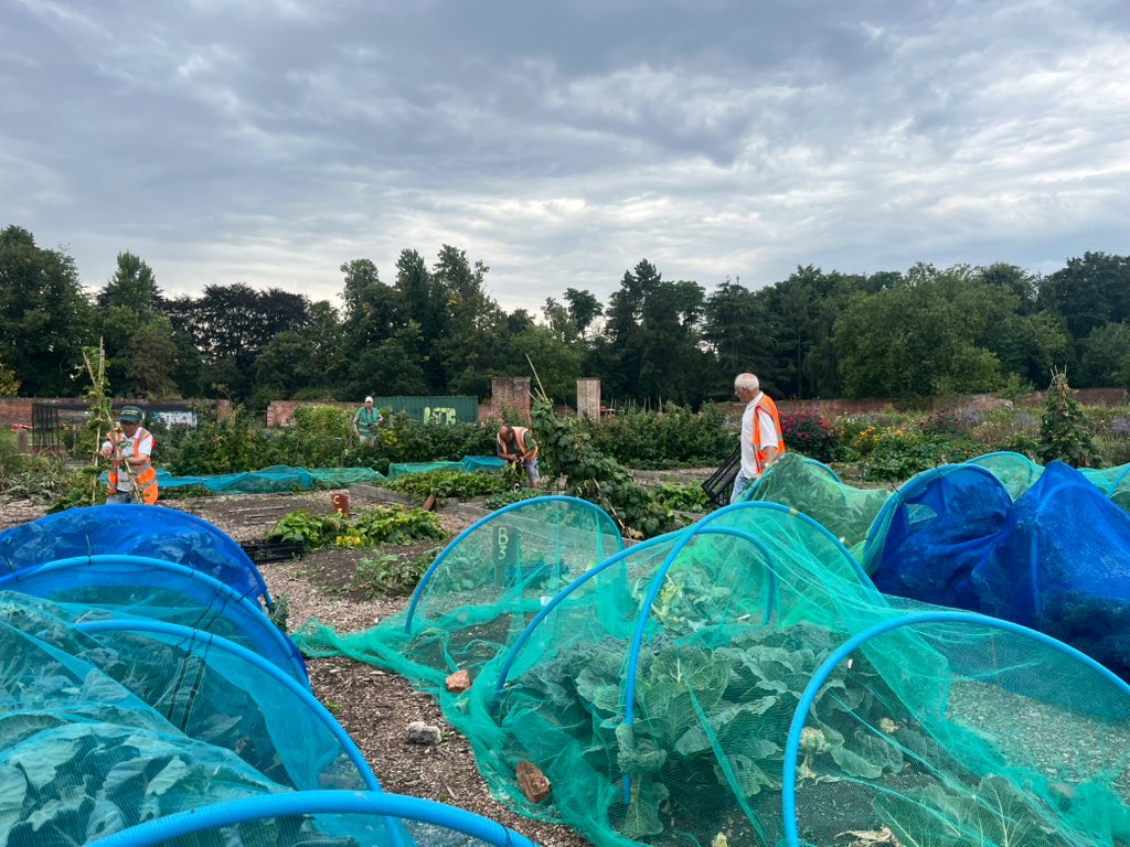 Lilian Greenwood tweet media