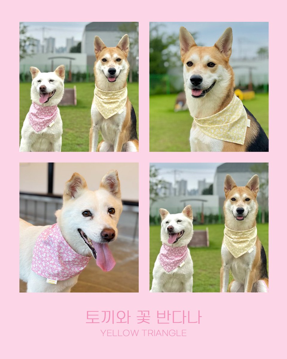 🩷토끼와 꽃 반다나🫶🏻

개인적으로 이 반다나가 휘뚜루마뚜루 어디에도 잘어울리는 거 같아요

면 60수라서 얇고 부드러워요🌼

귀여운 친구들 사진도 보고가세요😘