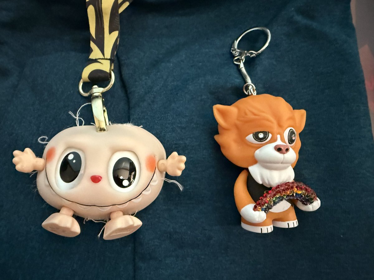 #DEFCON33 #defcon “a skinned labubu” badge