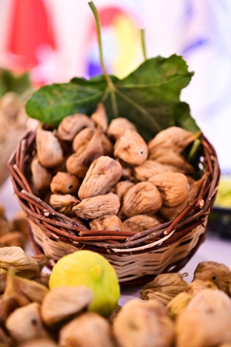 Aydın’da Kuru İncir Sezonu Başladı