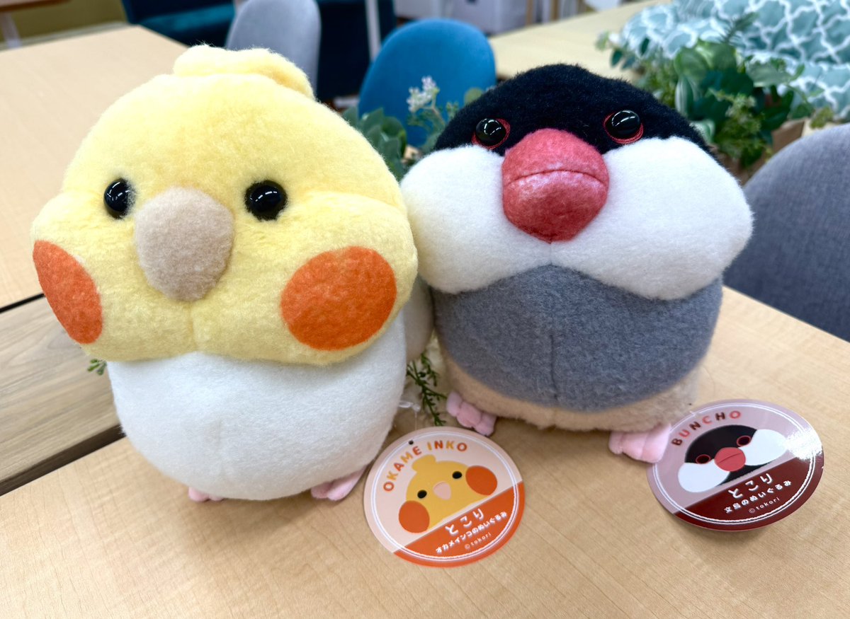 ✴︎ご成約品✴︎フォロワー様　イベント割引　２点 Posts with replies by 𓆉𓆡 𓇼まひ𓇼 𓆛𓆝𓆞 (@3J01a) / X
