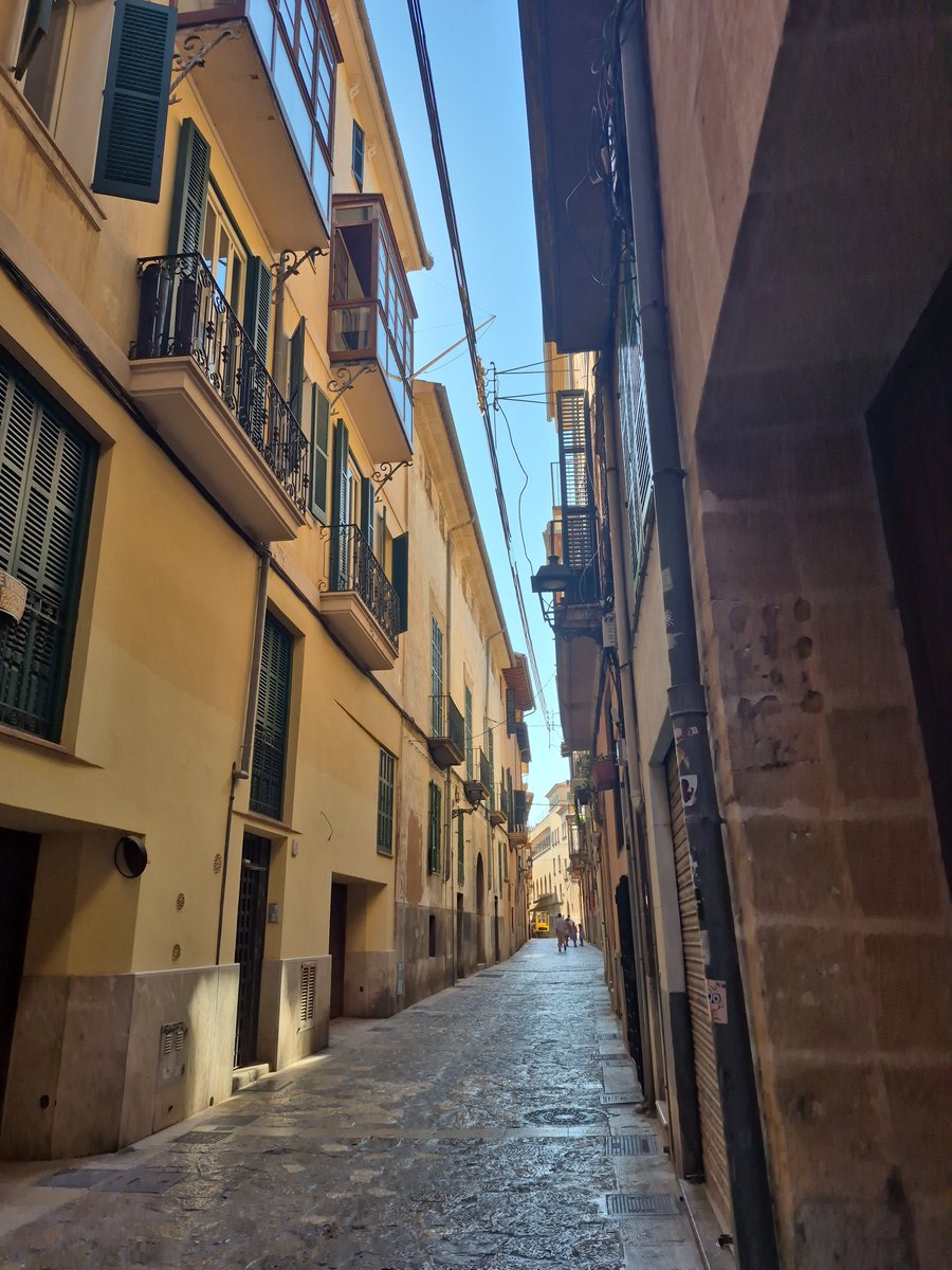 mateuramonell's tweet photo. Palma, 13 d'agost del 2025. #ningú #buit https://t.co/qfSSjiDHQq