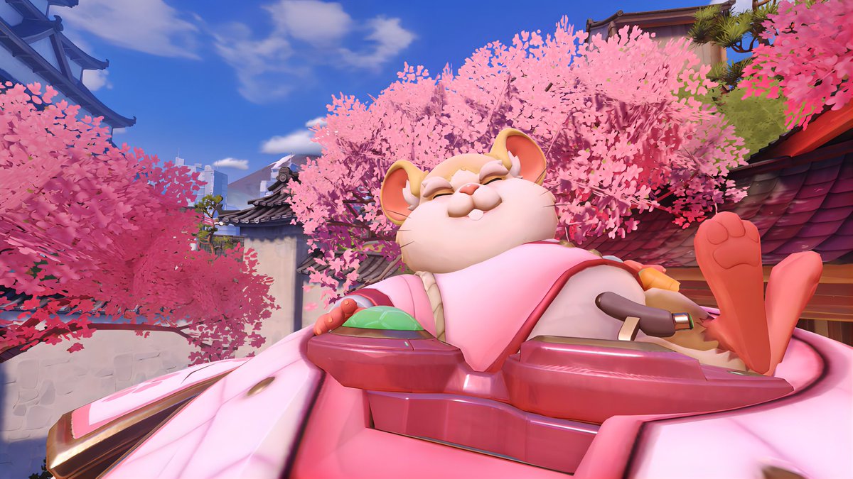 hammond_ow2's tweet photo. 🐹🌸 https://t.co/vLmgVjcCFE