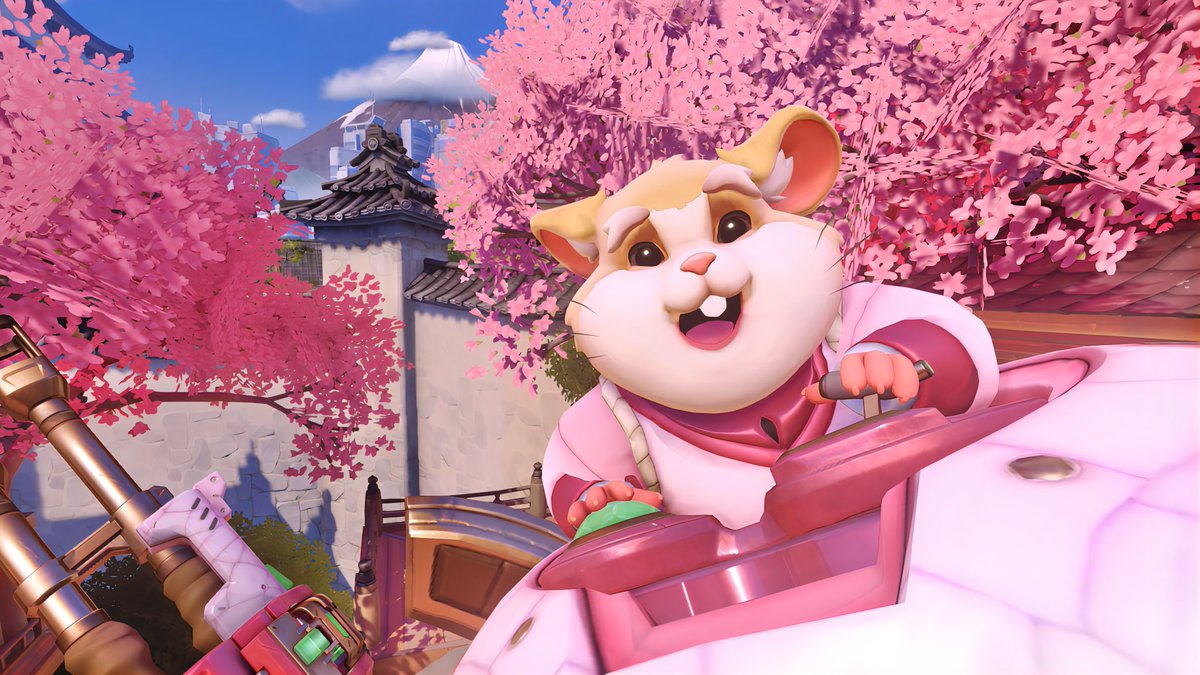 hammond_ow2's tweet photo. 🐹🌸 https://t.co/vLmgVjcCFE