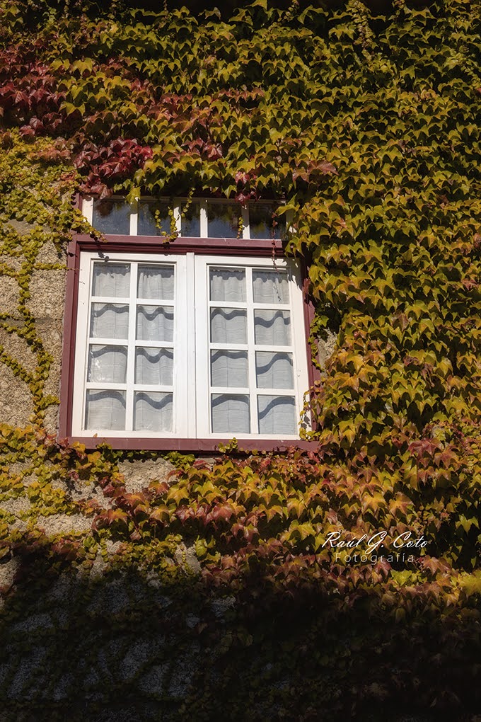 RaulGCoto's tweet photo. #autumnvibes #autumncolors #autumndays #autumnaesthetic #autumntime #brickleague #autumninlondon #autumnbaby #autumnalequinox #brickverse #pink #landcape #instaautumn #autmn #helloautumn #naturallandscape #instaspring #balharbour #keybiscayne #photography_flowers #miamipolice https://t.co/eHdnwcNQwh