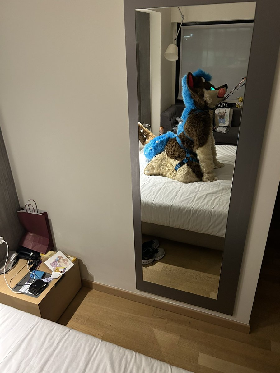 AxlMustDieee's tweet photo. I’m a good puppy, I swear https://t.co/iGp69enF0p