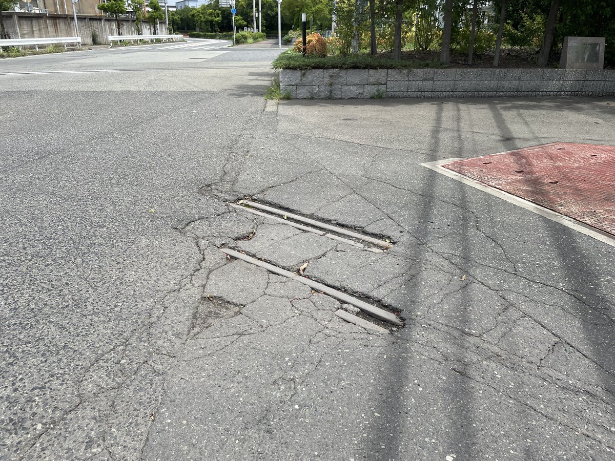 突然の出会い