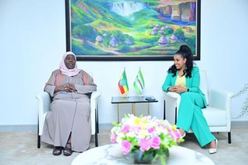 Transformation numérique : l’Ouganda explore un partenariat avec Ethio Telecom agenceecofin.com/actualites-num…