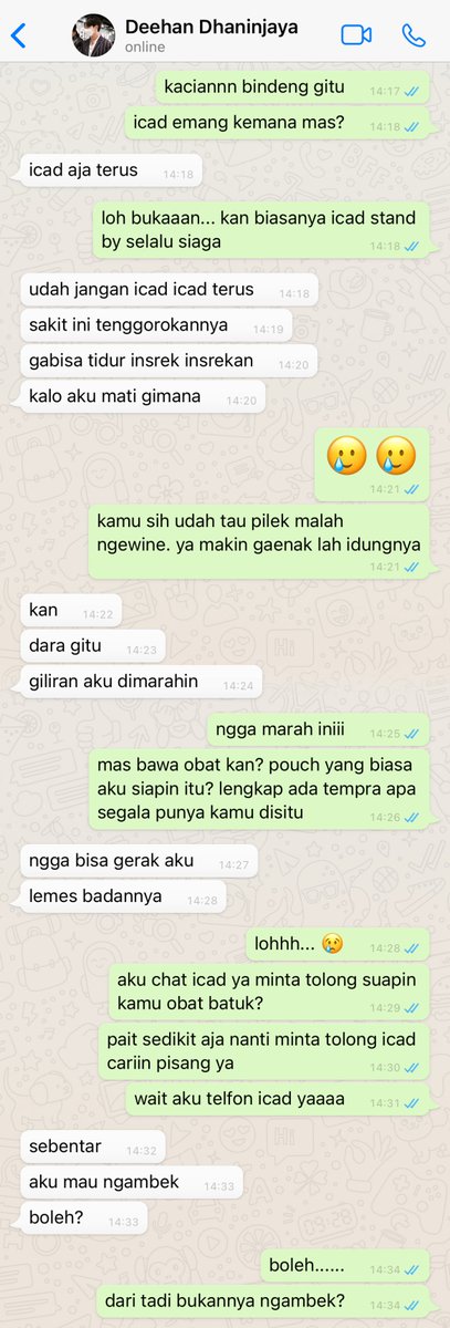 seokjinjuseyyo's tweet image. kakak suarabumi versi jinak