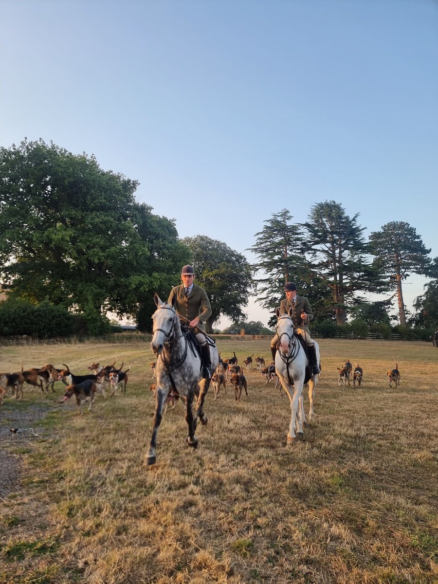 Out since 5am with these low lives who were cub hunting. Henry didn't look too happy to see so many of this this morning and it was odd the hunt weren't so forthcoming on calling the police on us this time around 🧐. Full hit report to follow.
#cubbing #cubhunting #huntsabbing