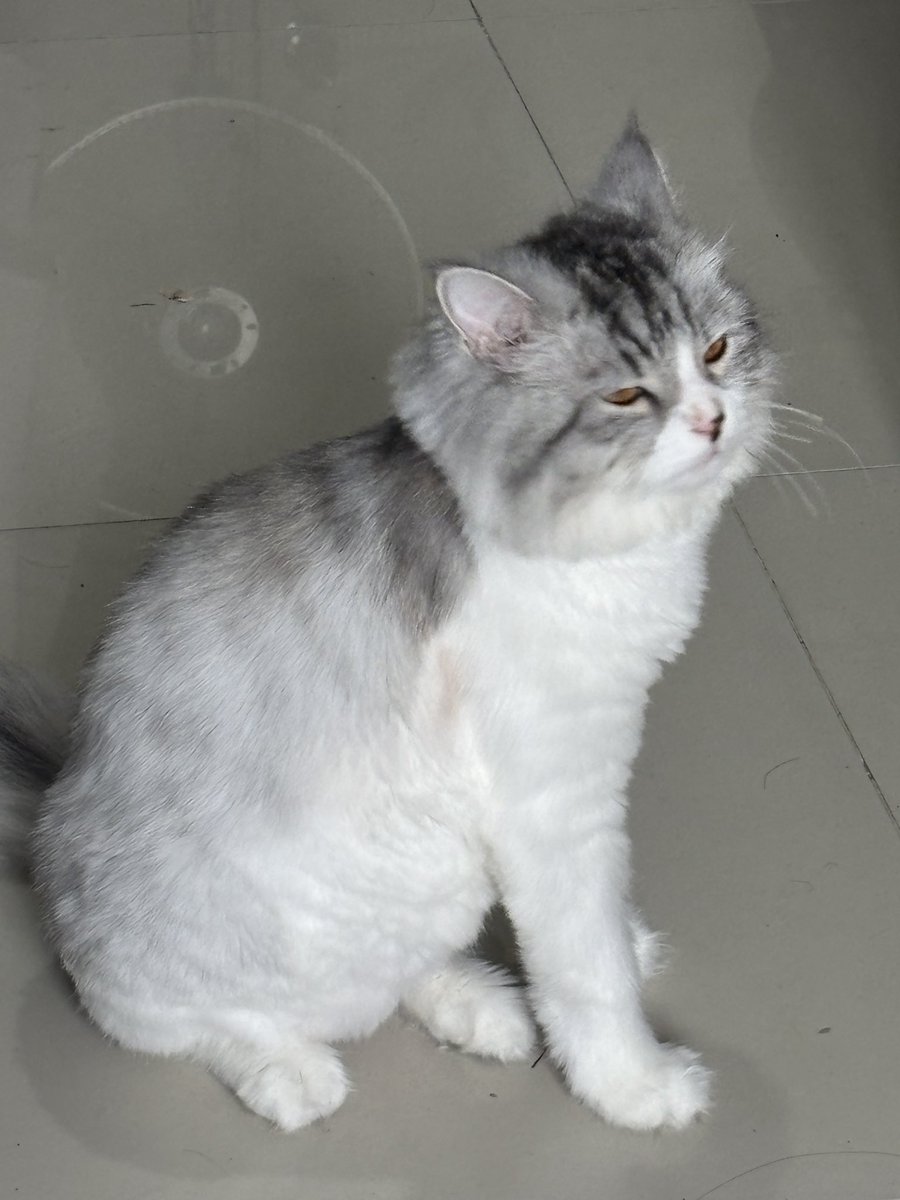 deannelouiisee's tweet photo. "excuse me im not fat" https://t.co/BbVwAGScCP