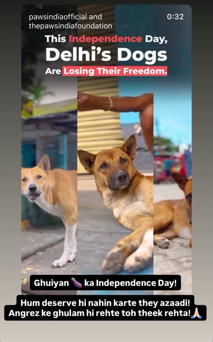 palgo729's tweet photo. @CPDelhi @DelhiPolice This individual, while opposing the Hon’ble Supreme Court’s judgment on stray dogs, has publicly posted on social media requesting Pakistan’s Army Chief Gen. Munir to attack India and “kill India”. He has also insulted India’s Independence Day in vulgar language.
Screenshots & screen recording attached for your urgent action. This is clearly anti-national and abusive content targeting the country. Instagram : shouryakumarlal
Twitter: shouryakumarlal