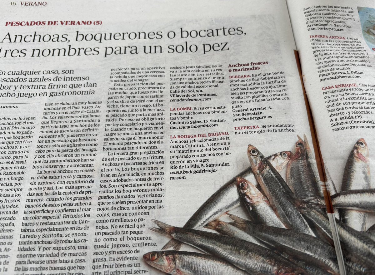 Quinta entrega en la serie Pescados de Verano en <a href="/abc_es/">ABC.es</a>. Anchoas, boquerones, bocartes, tres nombres para el mismo pez.