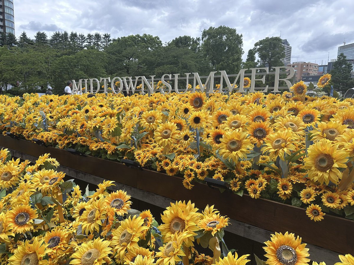yf__18's tweet photo. 🌻♡ https://t.co/6swYlGJ9eg