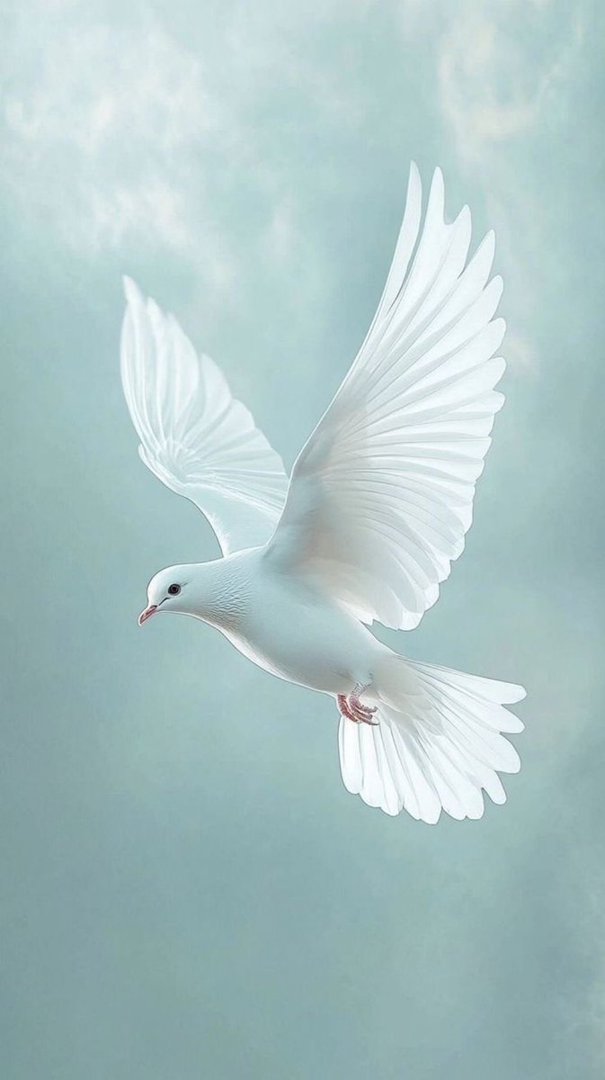 اللّهُـمَّ عالِـمَ الغَـيْبِ وَالشّـهادَةِ فاطِـرَ السّماواتِ وَالأرْضِ رَبَّ كـلِّ شَـيءٍ وَمَليـكَه أَشْهَـدُ أَنْ لا إِلـهَ إِلاّ أَنْت أَعـوذُ بِكَ مِن شَـرِّ نَفْسـي وَمِن شَـرِّ الشَّيْـطانِ وَشِرْكِهِ ، وَأَنْ أَقْتَـرِفَ عَلـى نَفْسـي سوءاً أَوْ أَجُـرَّهُ إِلـى مُسْـلِم