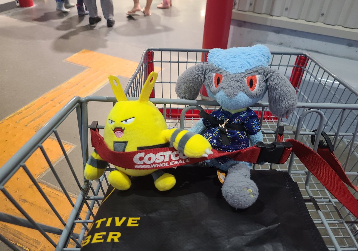 りおるとエレキッドで大きいスーパーきたよ！わくわくだね