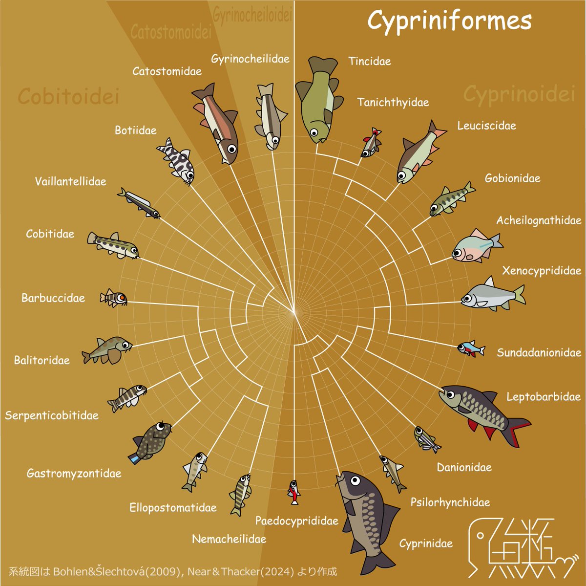 285ne10's tweet photo. ゆるコイ目(改)
Order : Cypriniformes https://t.co/hhKn4GAU0Q