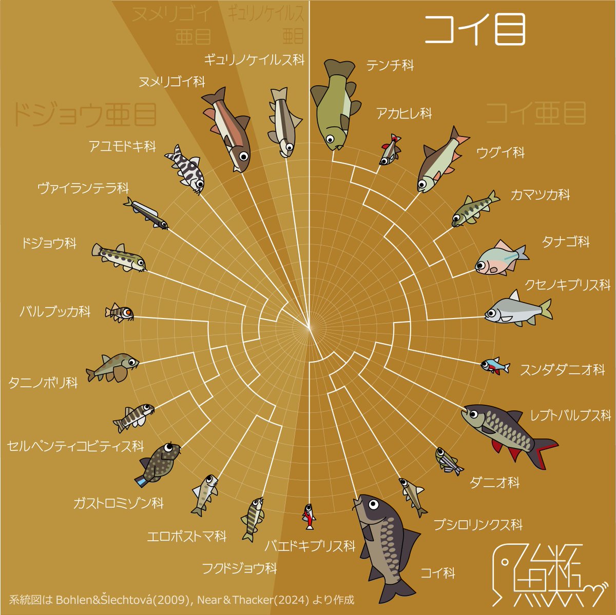285ne10's tweet photo. ゆるコイ目(改)
Order : Cypriniformes https://t.co/hhKn4GAU0Q