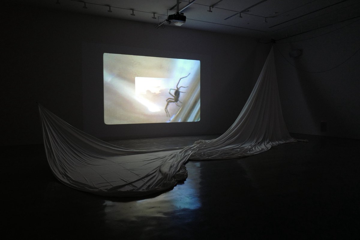 Apichatpong W. tweet media